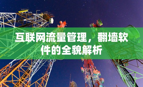 互联网流量管理,<strong>翻墙</strong>软件的全貌解析