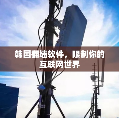 韩国<strong>翻墙</strong>软件，限制你的互联网世界