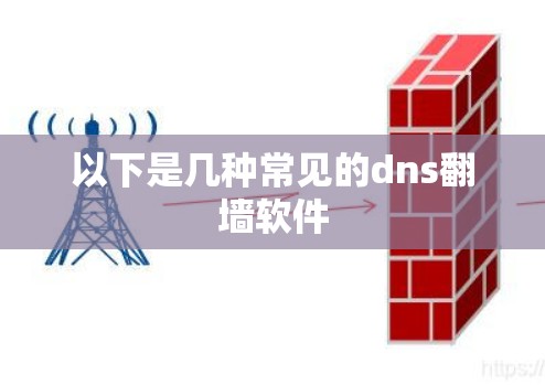 以下是几种常见的dns<strong>翻墙</strong>软件
