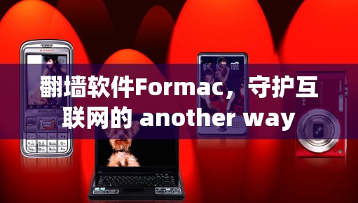 <strong>翻墙</strong>软件Formac，守护互联网的 another way
