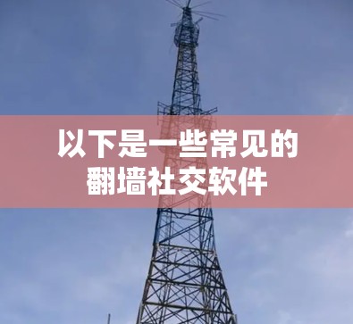 以下是一些常见的<strong>翻墙</strong>社交软件