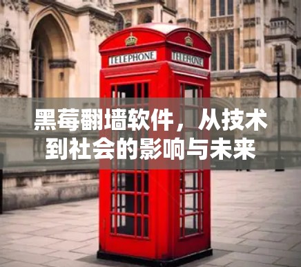黑莓<strong>翻墙</strong>软件，从技术到社会的影响与未来展望