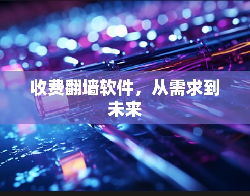 收费<strong>翻墙</strong>软件,从需求到未来
