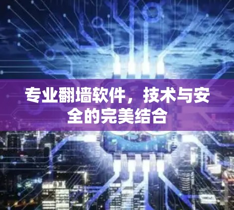 专业<strong>翻墙</strong>软件,技术与安全的完美结合