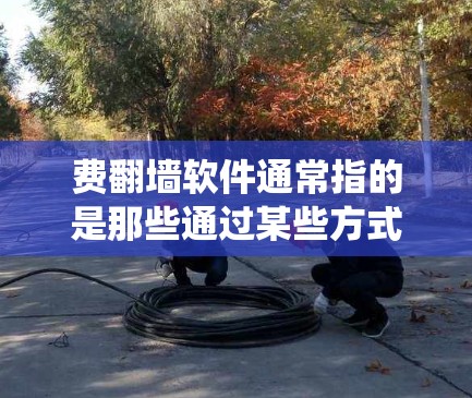 费<strong>翻墙</strong>软件通常指的是那些通过某些方式绕过网络费用或限制的软件或工具。以下是一些可能相关的信息和推荐