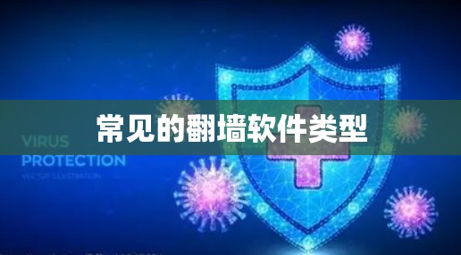 常见的<strong>翻墙</strong>软件类型