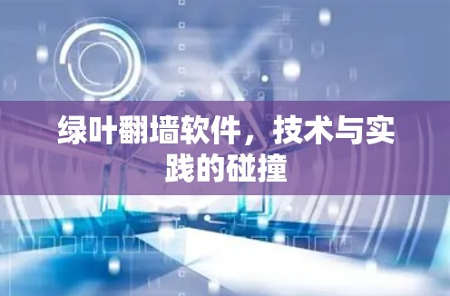 绿叶<strong>翻墙</strong>软件,技术与实践的碰撞