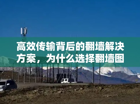 高效传输背后的<strong>翻墙</strong>解决方案,为什么选择<strong>翻墙</strong>图片软件?