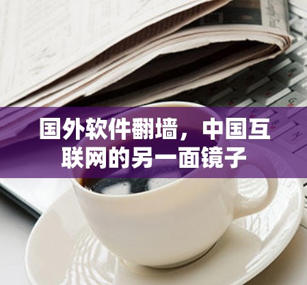 国外软件<strong>翻墙</strong>,中国互联网的另一面镜子