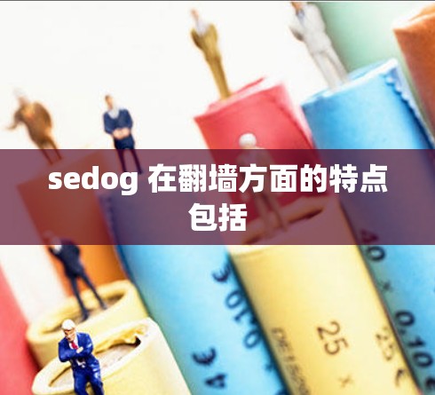 sedog 在<strong>翻墙</strong>方面的特点包括