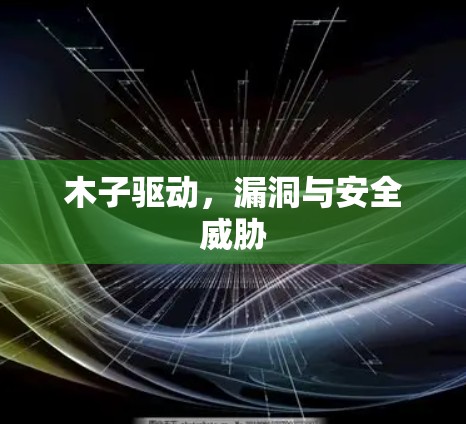 木子驱动，漏洞与安全威胁