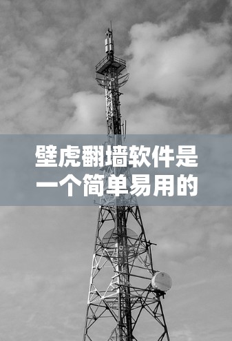 壁虎<strong>翻墙</strong>软件是一个简单易用的工具，旨在帮助用户控制某些网站的访问权限，防止访问不安全的网站。以下是详细的解答