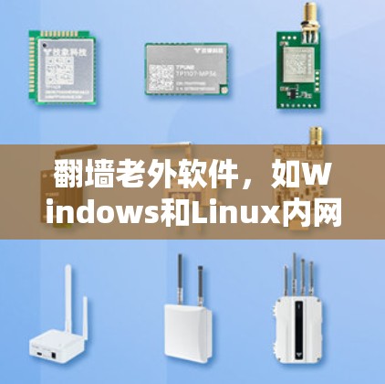 <strong>翻墙</strong>老外软件，如Windows和Linux内网管理器，是允许外部访问计算机内部网络的工具。以下是针对这些软件的详细介绍