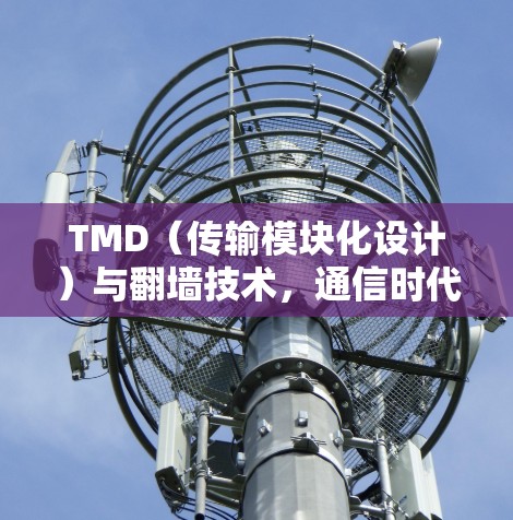 TMD（传输模块化设计）与<strong>翻墙</strong>技术，通信时代的双刃剑