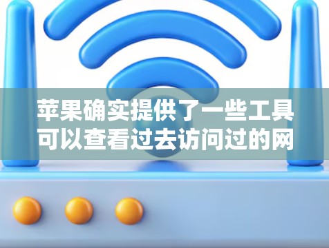 苹果确实提供了一些工具可以查看过去访问过的网站,但这些工具通常需要付费。以下是一些相关功能