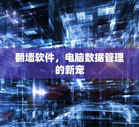 <strong>翻墙</strong>软件，电脑数据管理的新宠