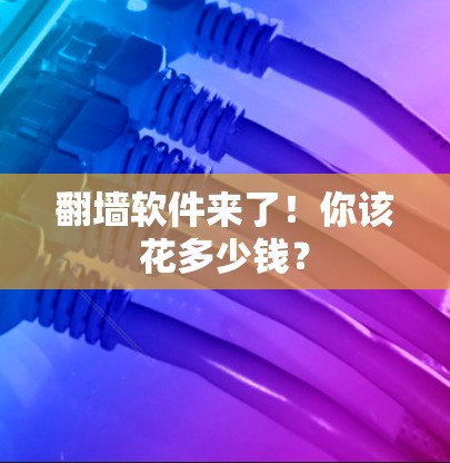 <strong>翻墙</strong>软件来了!你该花多少钱?