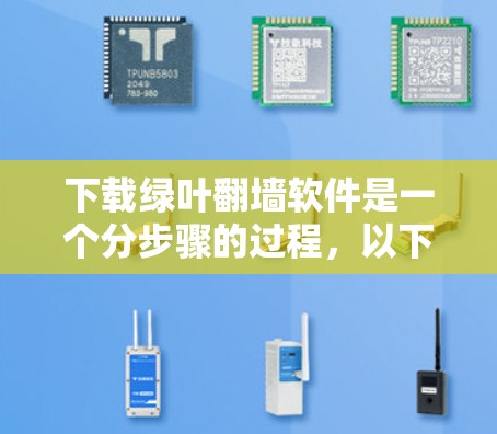 下载绿叶<strong>翻墙</strong>软件是一个分步骤的过程,以下是一个清晰的指南