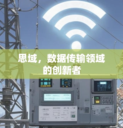 思域,数据传输领域的创新者