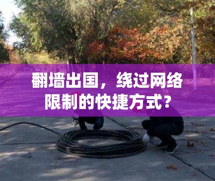 <strong>翻墙</strong>出国,绕过网络限制的快捷方式?