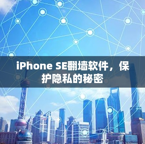 iPhone SE<strong>翻墙</strong>软件,保护隐私的秘密