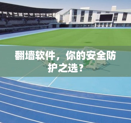 翻墙软件，你的安全防护之选？