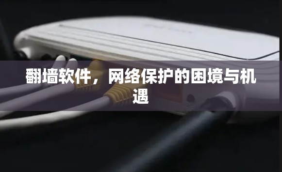 <strong>翻墙</strong>软件,网络保护的困境与机遇