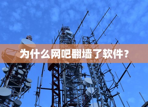 为什么网吧<strong>翻墙</strong>了软件?