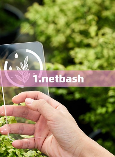 1.netbash