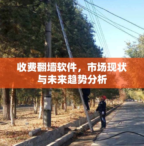 收费<strong>翻墙</strong>软件，市场现状与未来趋势分析