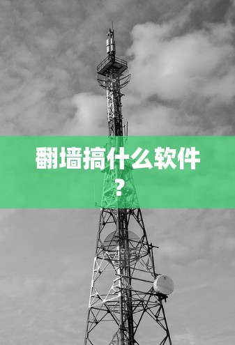 <strong>翻墙</strong>搞什么软件?