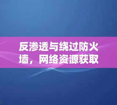 反渗透与绕过防火墙,网络资源获取的双刃剑