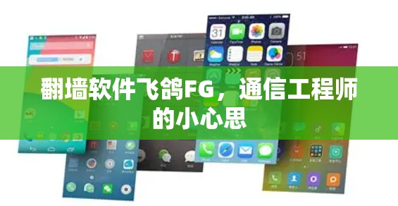 <strong>翻墙</strong>软件飞鸽FG，通信工程师的小心思