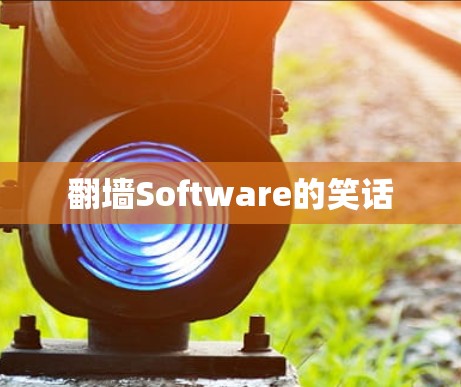<strong>翻墙</strong>Software的笑话