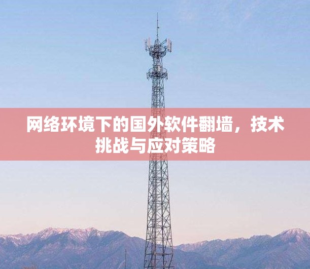 网络环境下的国外软件<strong>翻墙</strong>，技术挑战与应对策略