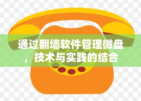 通过<strong>翻墙</strong>软件管理微盘，技术与实践的结合