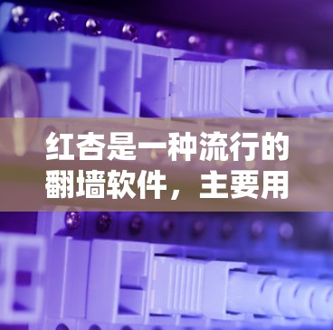 红杏是一种流行的<strong>翻墙</strong>软件，主要用于阻止未经授权的访问。它支持多种网络和服务器，包括但不限于