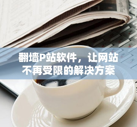 <strong>翻墙</strong>P站软件，让网站不再受限的解决方案