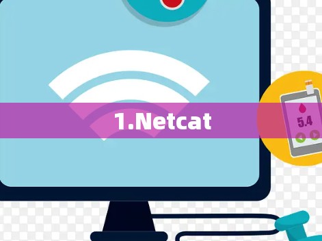 1.Netcat