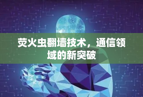 荧火虫<strong>翻墙</strong>技术，通信领域的新突破
