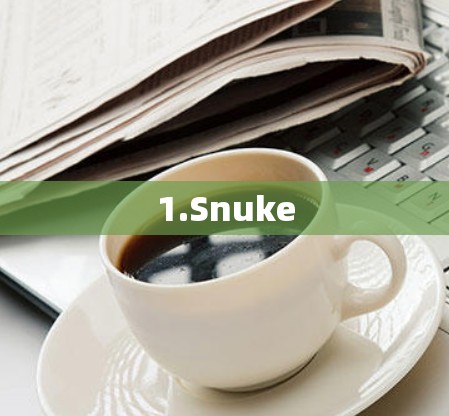 1.Snuke