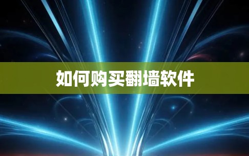 如何购买<strong>翻墙</strong>软件