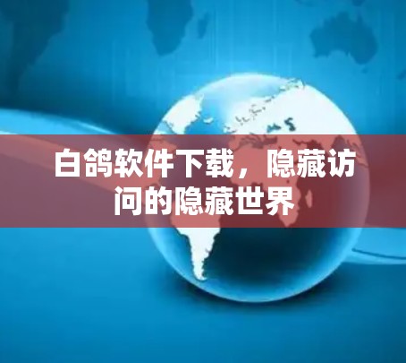白鸽软件下载，隐藏访问的隐藏世界
