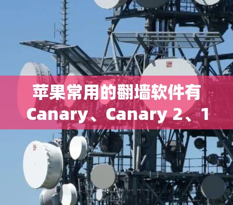 苹果常用的<strong>翻墙</strong>软件有Canary、Canary 2、1percent、Netty和Netty 2。这些软件通过网络连接断开苹果设备,允许用户访问外部网络环境。以下是对这些软件的详细分析