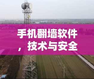 手机<strong>翻墙</strong>软件,技术与安全的双刃剑
