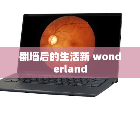 <strong>翻墙</strong>后的生活新 wonderland