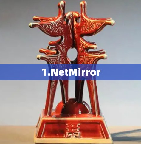 1.NetMirror