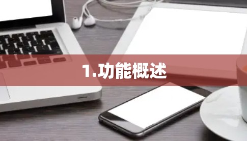1.功能概述