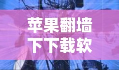 苹果<strong>翻墙</strong>下下载软件,挑战与解决方案