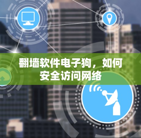 <strong>翻墙</strong>软件电子狗,如何安全访问网络